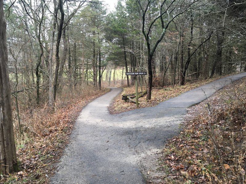 Stay to the left here.  The alternative is the Spur, which is only .21mi long.