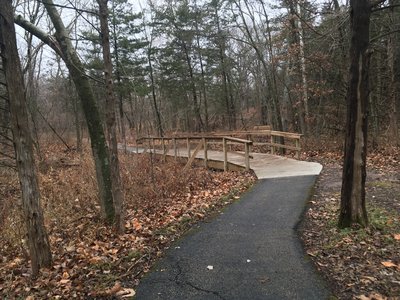 A bridge over the smallest creek ever.  No tolls, or trolls.