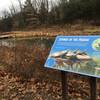 Informative signage in front of a pond.