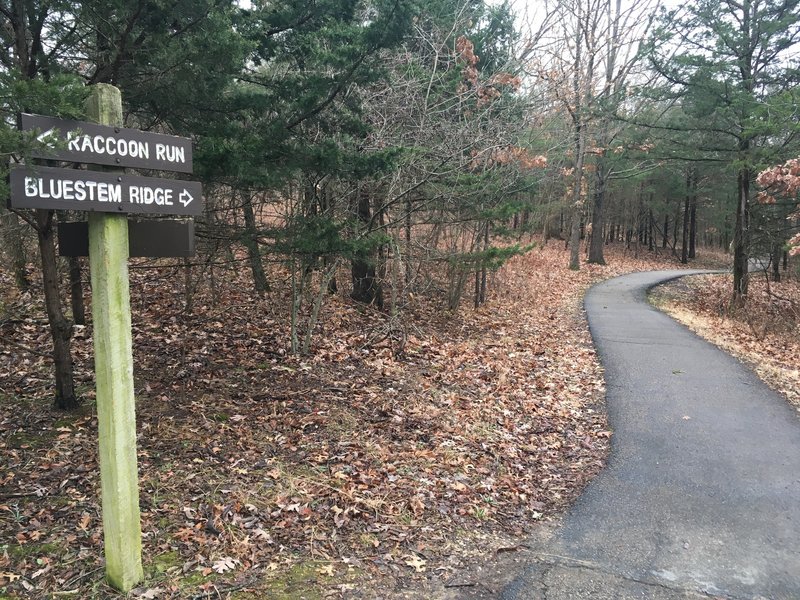 The start of Bluestream Ridge, if starting from Raccoon Run.