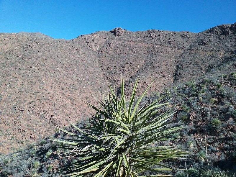 View of Transmountain Summit