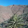 View of Transmountain Summit