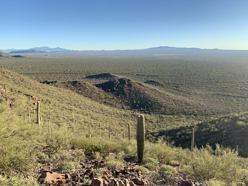 View from one of the peaks on the Brown Mountain Trail