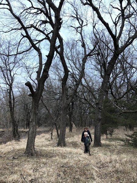 This is a short loop for kids to experience a trail, but parents not to commit to a long distance...