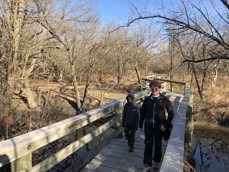 There are several bridges over the creek in this park.