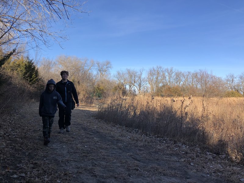 This path has a lot of animal footprints in the mud, racoon, deer and turkey.