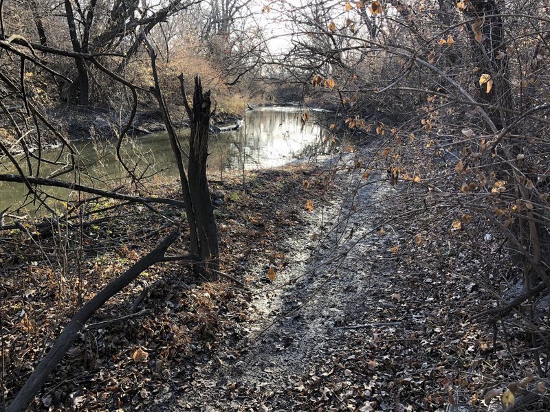 The peaceful creek; there's a downed tree to sit on if you want to stay a while.