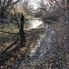 The peaceful creek; there's a downed tree to sit on if you want to stay a while.