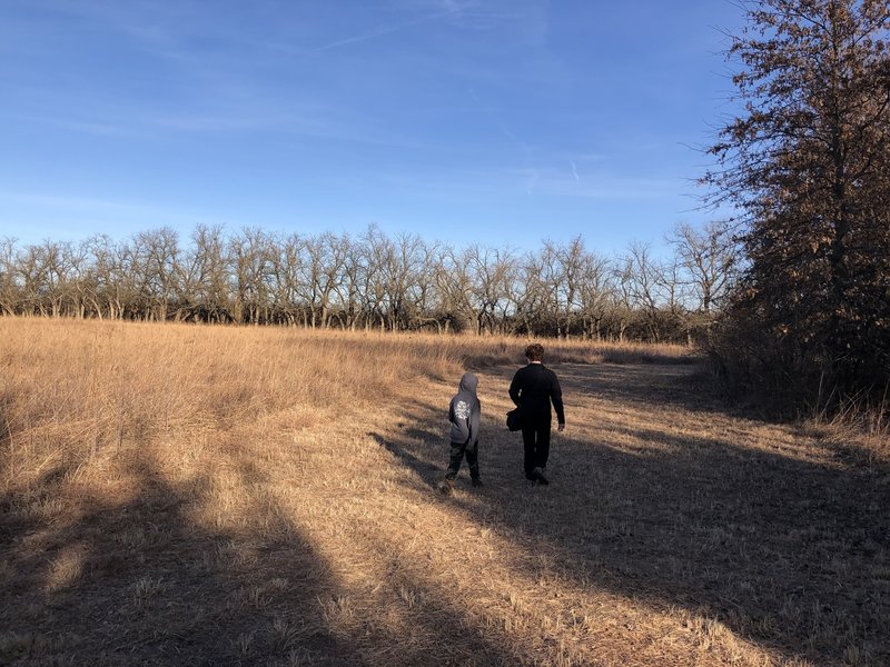 This wide mowed  trail that doesn't have a tread, but easy to hike.