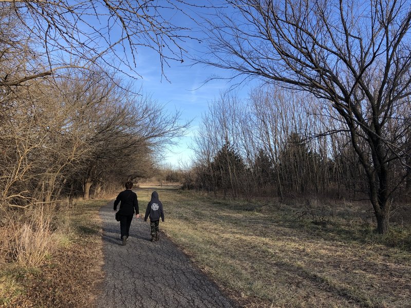 Paved path through the park