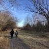 Paved path through the park