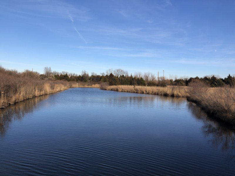 The wetlands area in this park is amazing and offers viewing of many animal species (if you hang out and are very quiet).