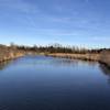 The wetlands area in this park is amazing and offers viewing of many animal species (if you hang out and are very quiet).