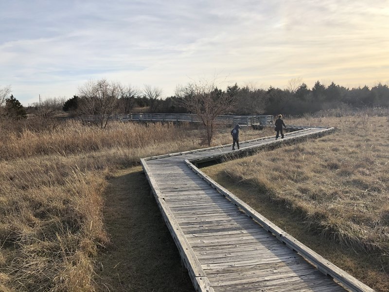 raised boardwalk over the wetlands area