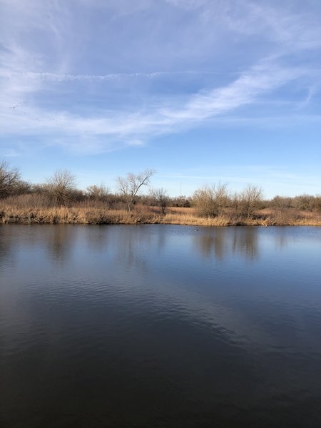 Great location to view ducks, geese and some hawks.