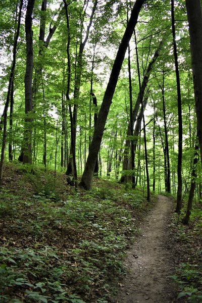 Seidman Park" courtesy of Kent County Parks Department.