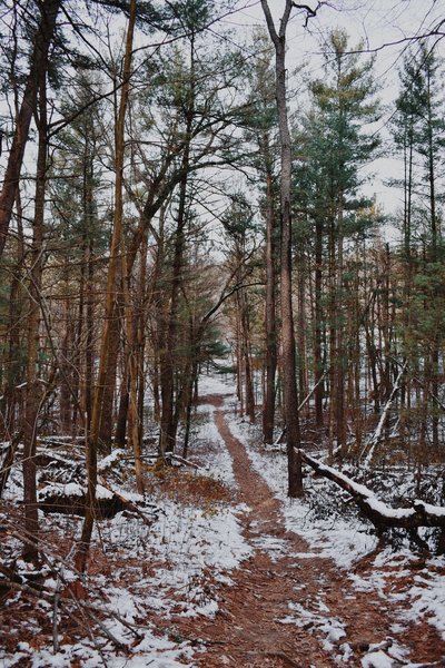 Provin Trails Park" courtesy of Kent County Parks Department.