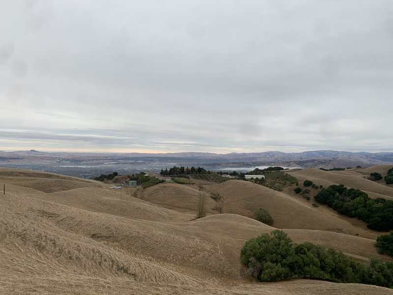 About 100 yd from tower looking out at Livermore Valley