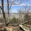 With the leaves off, you can see the lake from most of the trail