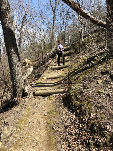 one of the steeper areas, this goes into a small valley with a bridge crossing and there's some uneven rocks on the climb out.