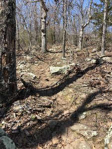 Uneven, rocky area