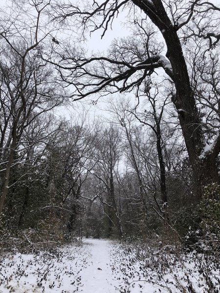 A peaceful escape for a lunchtime hike