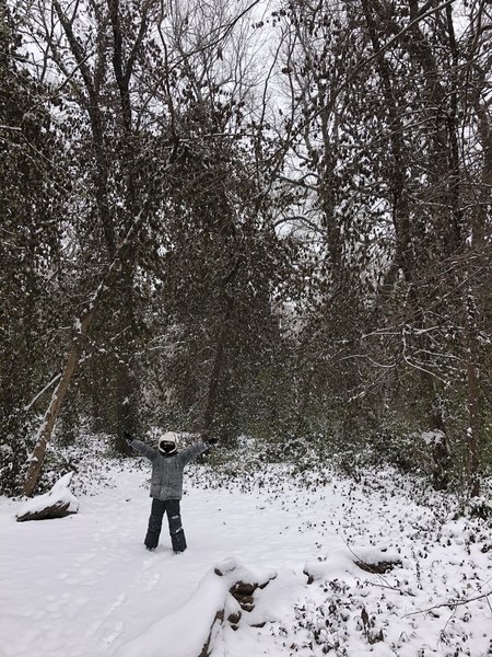 This merge of trails has a 15' diameter cleared area, probably for sitting and birding.