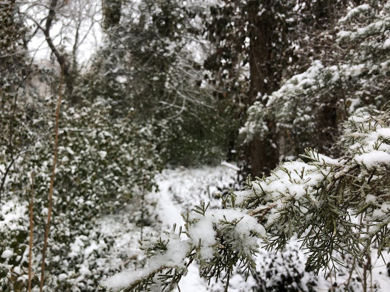 This was my first time walking this park in the snow and I loved it!