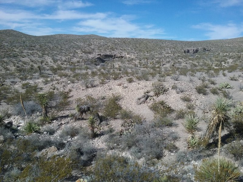 Looking North on the trail.