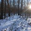 The trail can be a bit trickier to find in snow, of course. Here's an example. If the footprints were not present, things could get dicey.