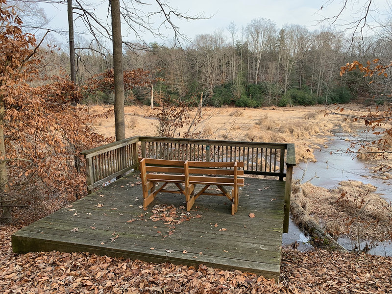 Beaver Pond viewing platform.