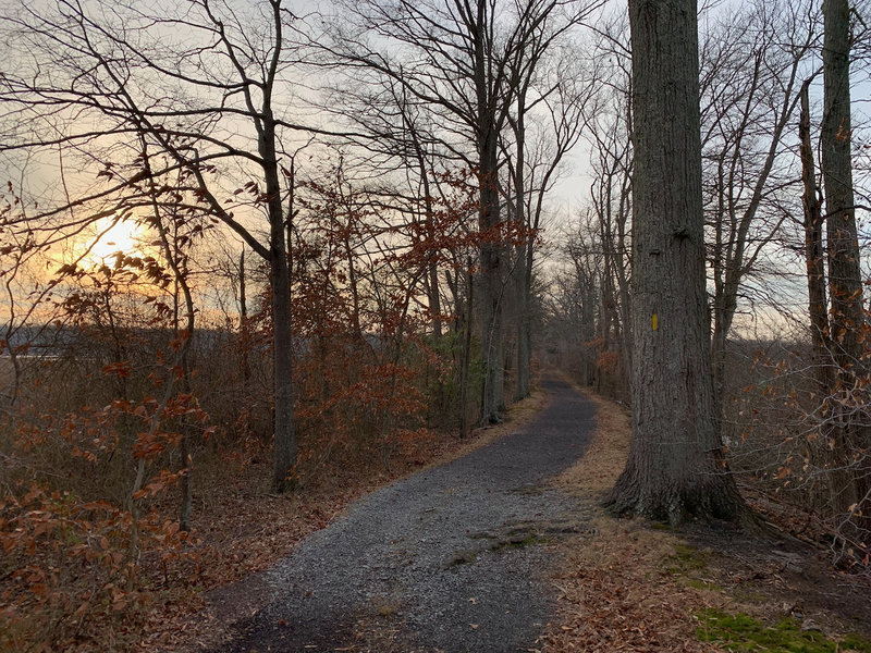 Looking west down the Railroad Bed Trail.