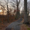 Looking west down the Railroad Bed Trail.