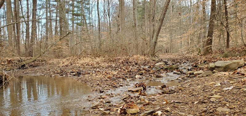 Shallow creek crossing