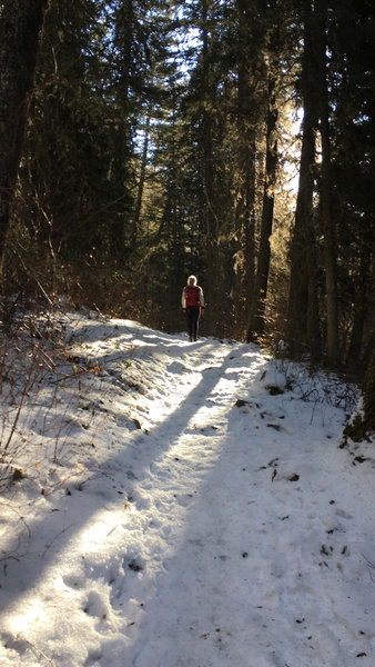 Get there in the morning and you'll get some great sunbeams through the trees!