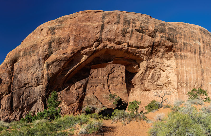 Pine Tree Arch from the east