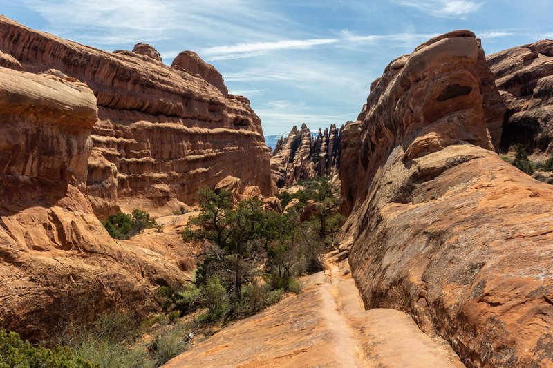 Parallel rock on Devils Garden Primitive Loop.