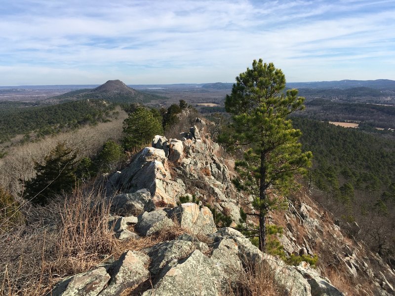 Looking back down the ridge toward pinnacle.