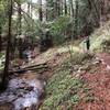 Midway between the parking and the Rocky Trail... Meandering stream that we have to cross many times.