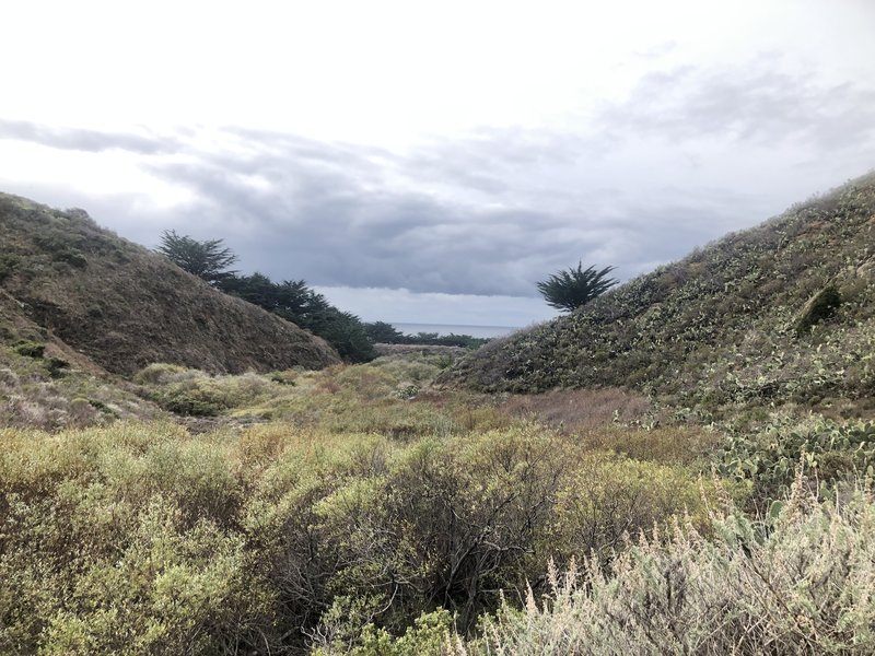 View looking back at the ocean from atop the scramble past the redwoods.