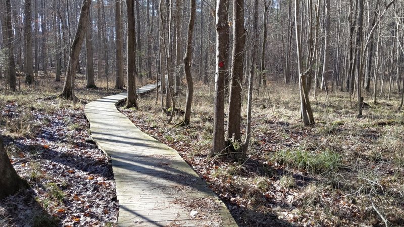 Boardwalk through muddy areas