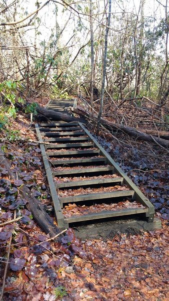 Staircase on Great Wall Trail.