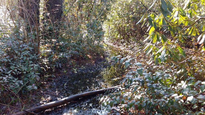 One of the various mud holes on Great Wall Trail after heavy rain.