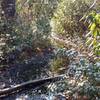 One of the various mud holes on Great Wall Trail after heavy rain.