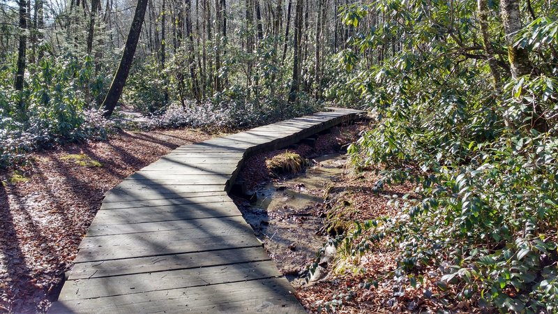 Boardwalk on lower section of Little Green Trail.