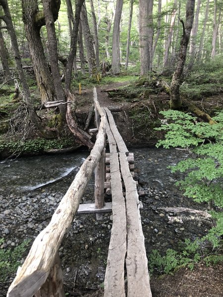 Rustic bridge over stream crossing