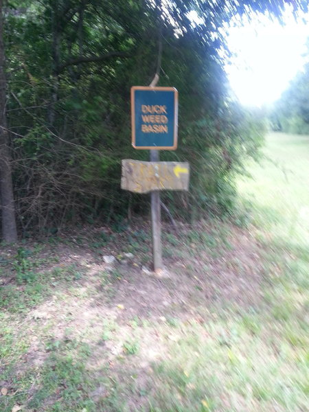 Duck Weed Basin trail entrance.