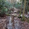 Near start of trail, you cross creek on pile of stable rocks and there was wood lodged on rockpile, no blaze indicates trail goes across creek here