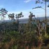View of Lake Guntersville.