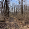 Beginning of Quarry Trail